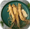 Panax Ginseng