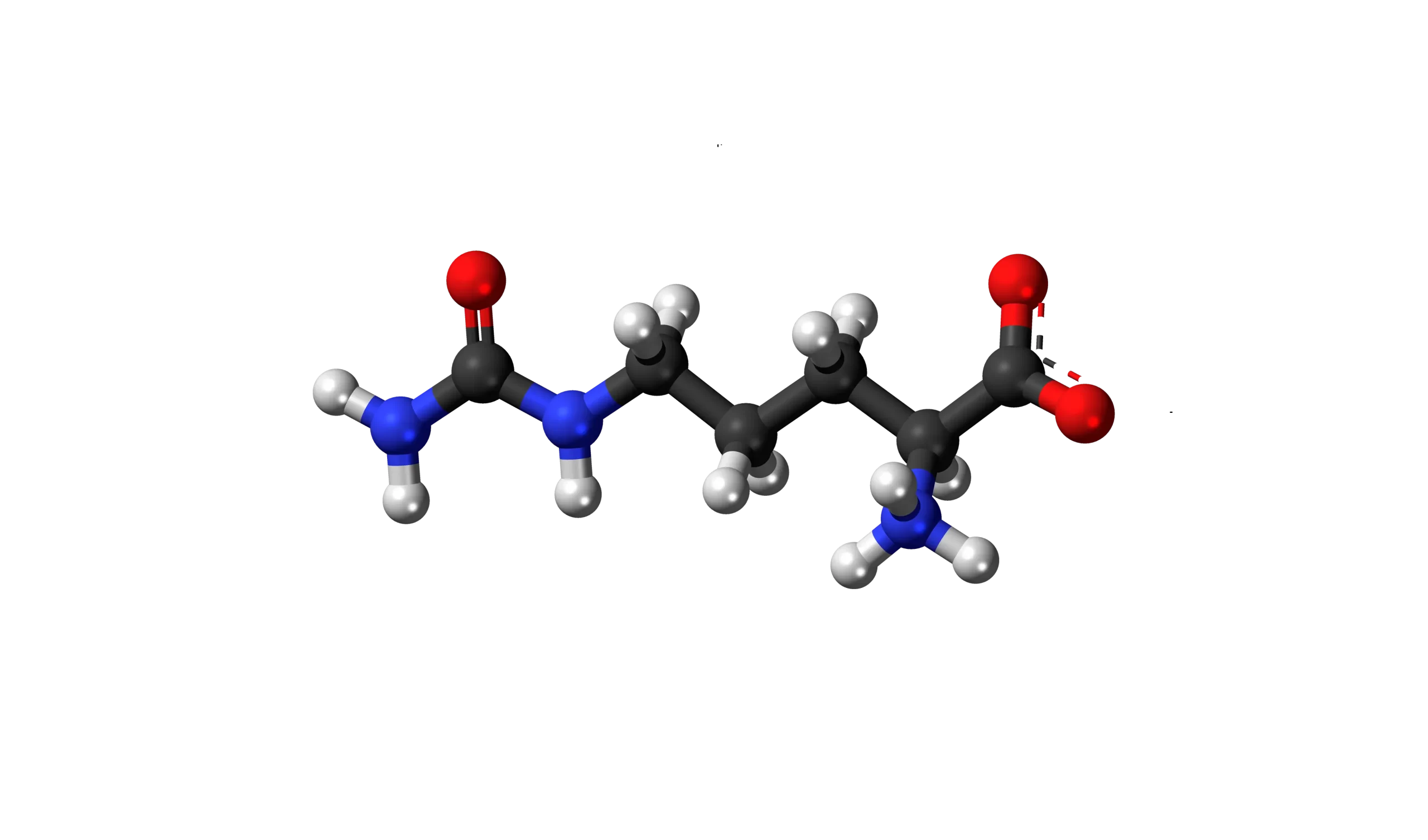 L-Citrulline