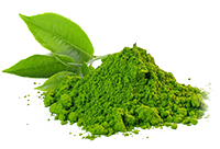Green Tea Extract